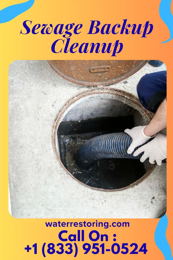 Sewage Backup Cleanup in Unicoi, TN